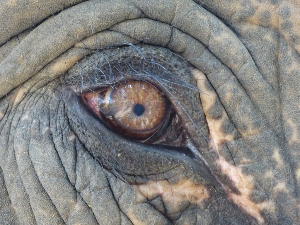 smithsonian-photography-contest-22