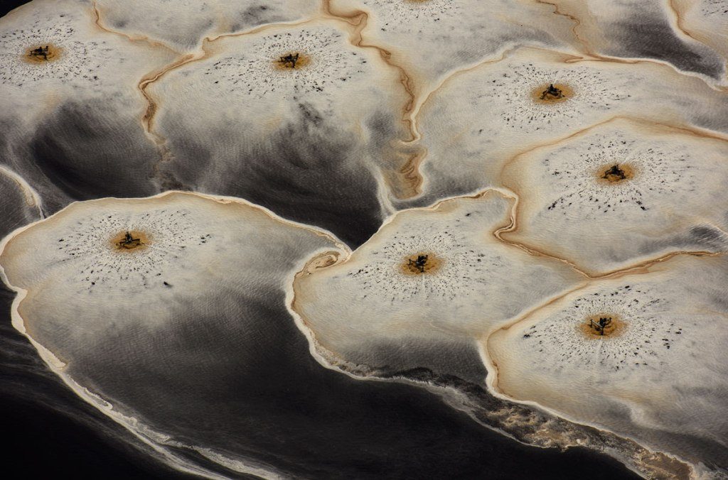 smithsonian-photography-contest-9