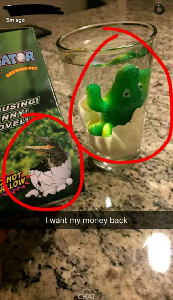 victim-of-online-shopping-8