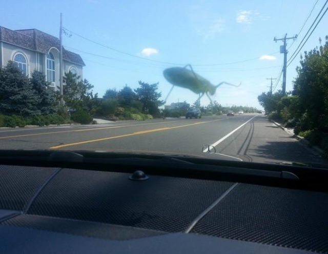 behind-this-photo-21