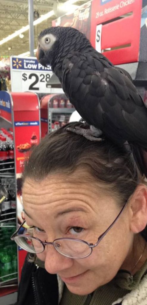 Who Wants a Cracker? - Kentucky