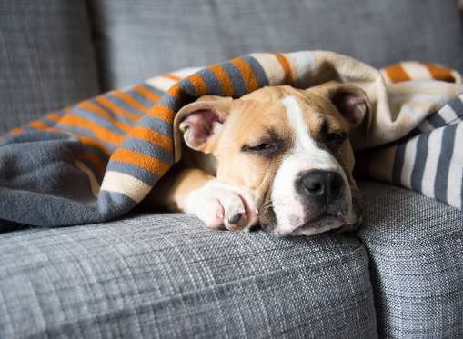 bad-weekends-habit-3