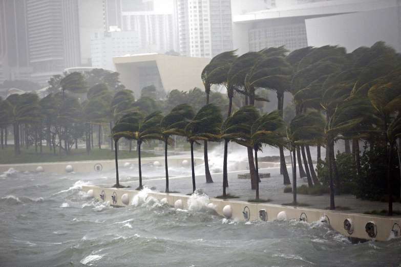 irma-in-florida-16