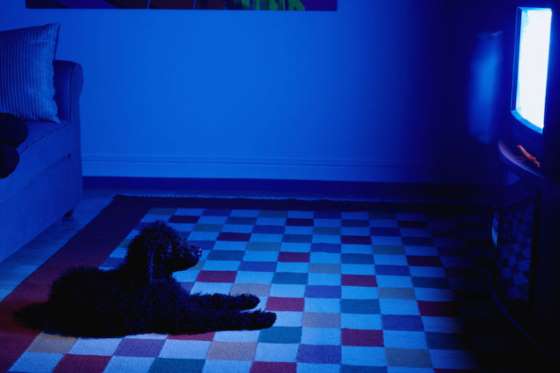 thing-you-will-miss-9