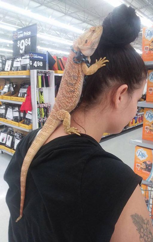 Queen Elizardbeth shops from Walmart too