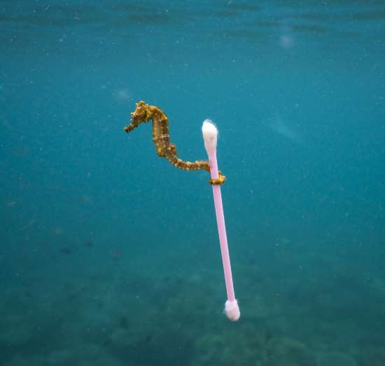 wildlife-photographer-3