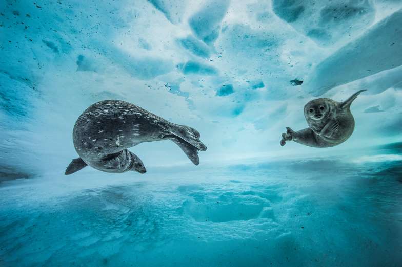 wildlife-photographer-8