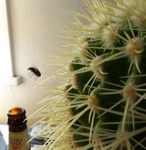 coincidence-photo-13