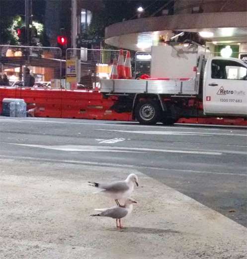 coincidence-photo-16