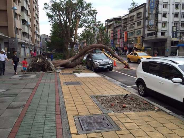 coincidence-photo-23