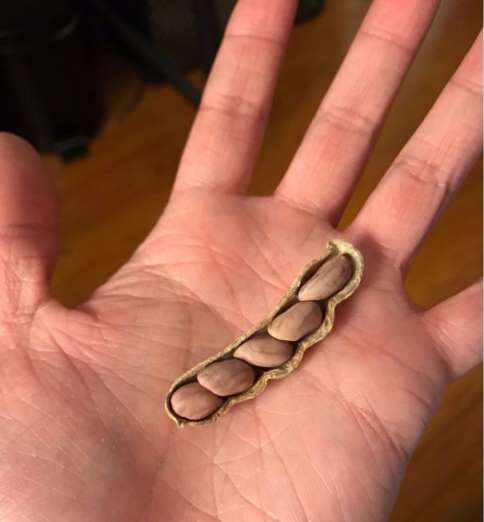 coincidence-photo-24