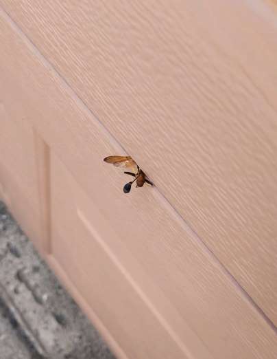 coincidence-photo-29