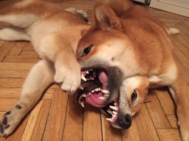 second-look-photo-10