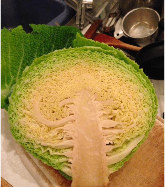 cut-in-half-thing-18