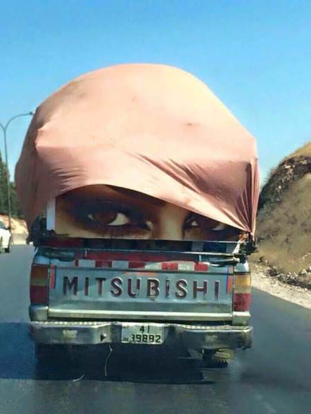 perfect-timed-photo-4