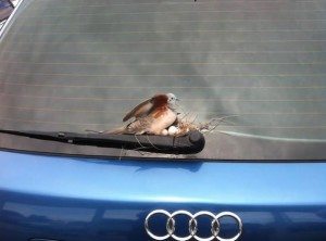 power-of-parental-love-16