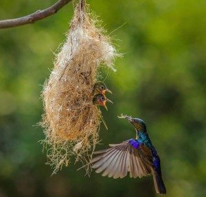 power-of-parental-love-19