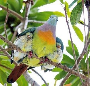 power-of-parental-love-4