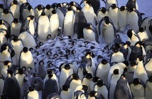 power-of-parental-love-8