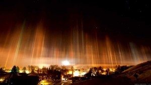 incredible-nature-1