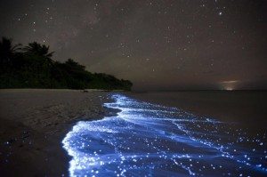 incredible-nature-13