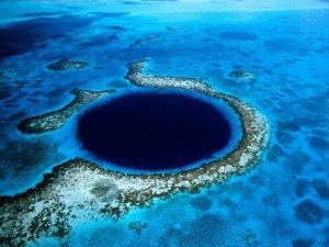 incredible-nature-15