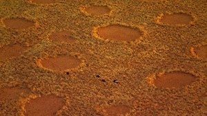 incredible-nature-18