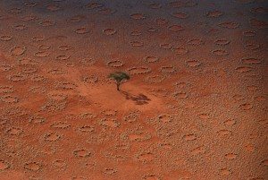 incredible-nature-19