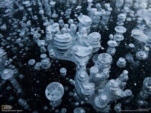 incredible-nature-20