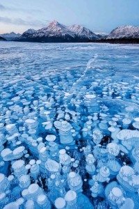 incredible-nature-21