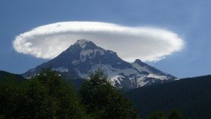 incredible-nature-28