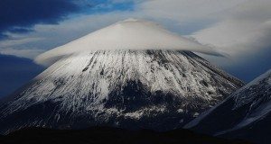 incredible-nature-29