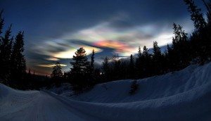 incredible-nature-30