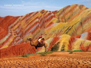 incredible-nature-34
