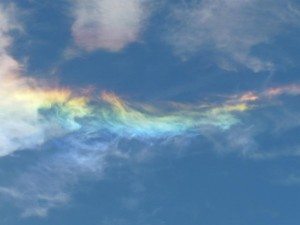 incredible-nature-35
