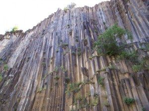 incredible-nature-37