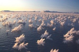 incredible-nature-4