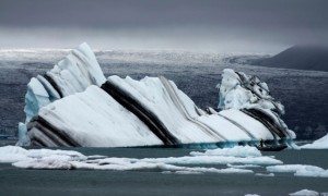 incredible-nature-6