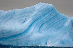 incredible-nature-7