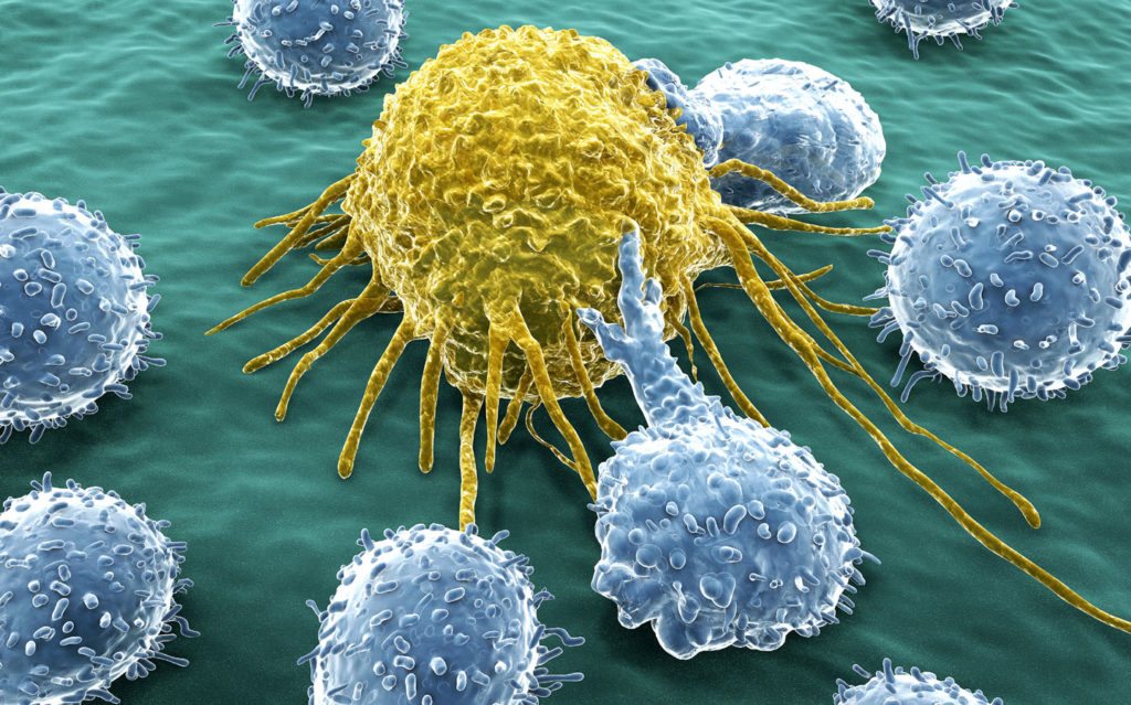 T-lymphocytes-cancer-cell