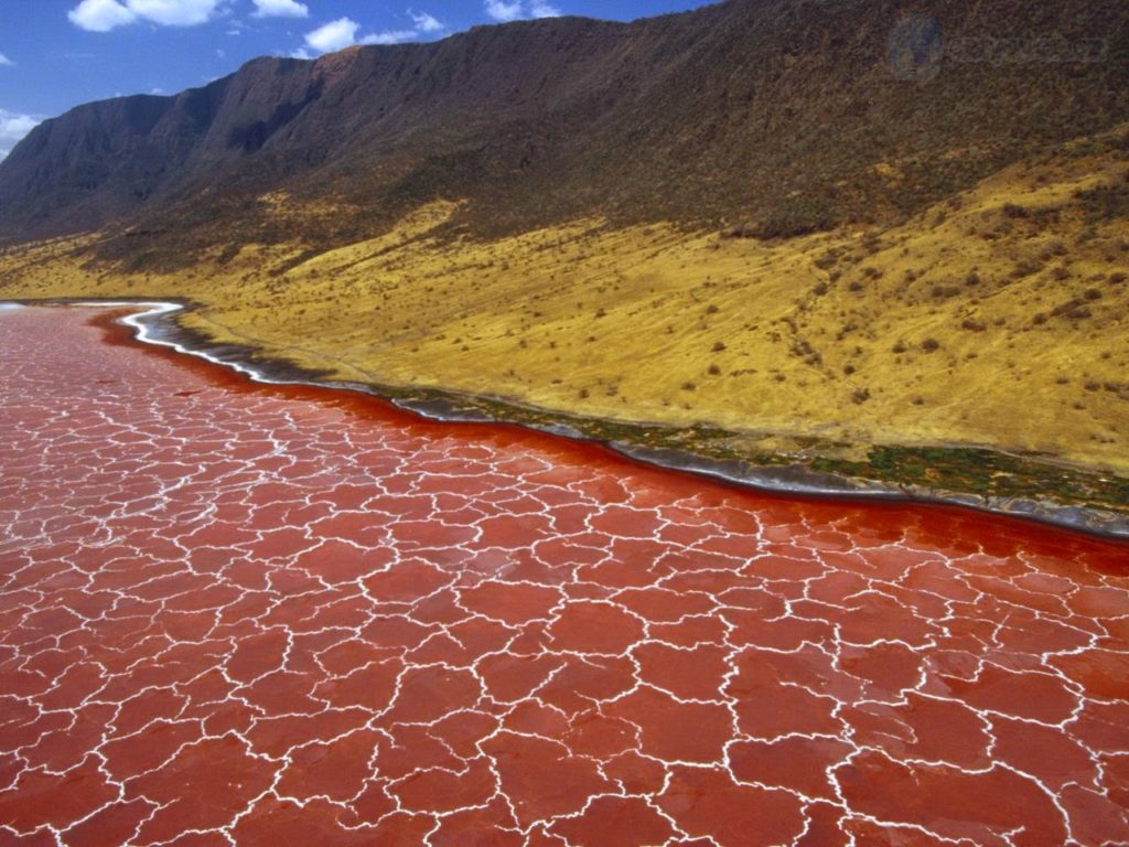lake-natron