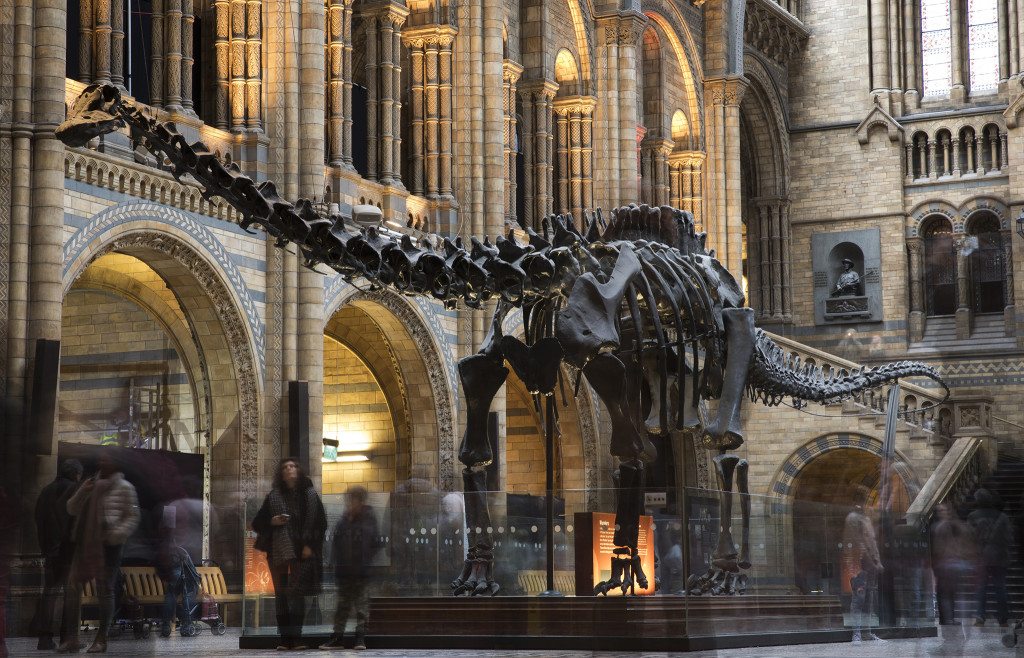 dippy-the-dinosaur