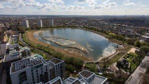 woodberry-wetlands