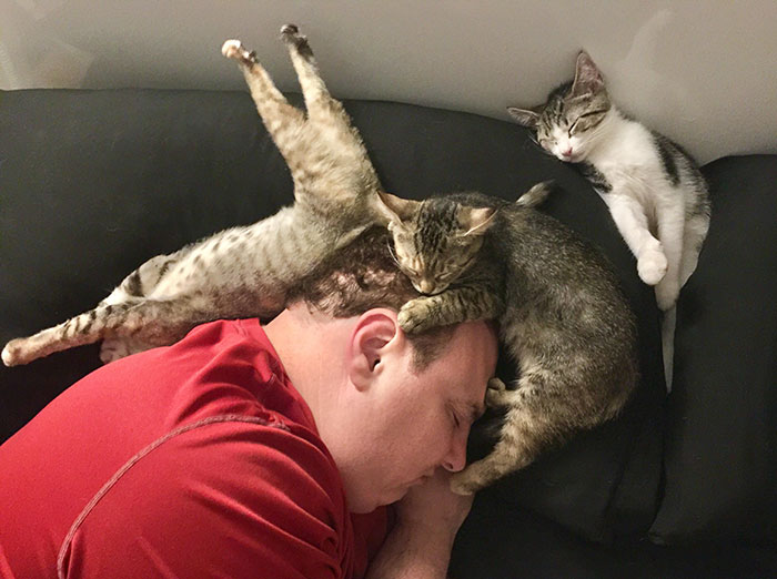 man sleeping with cats