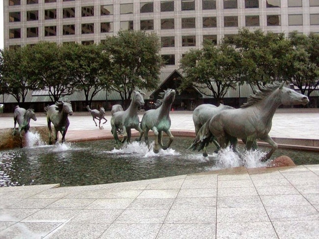 The Mustangs Of Las Colinas