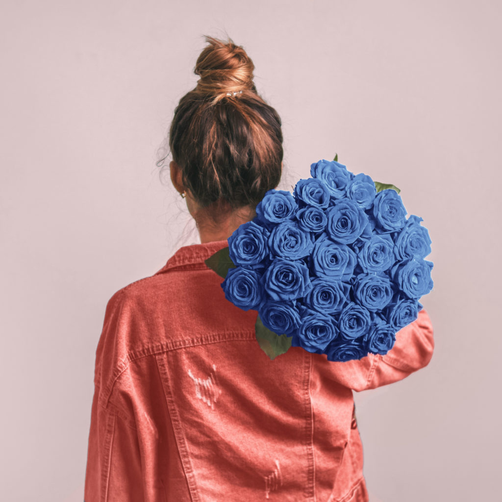 blue roses