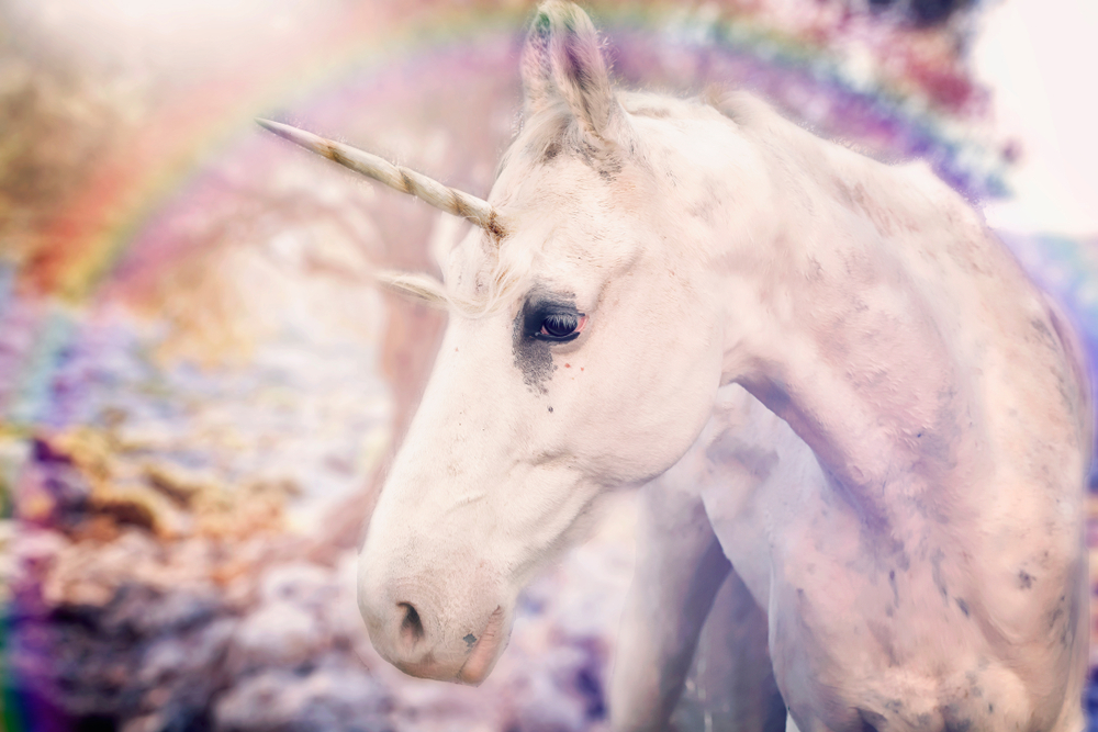 unicorn